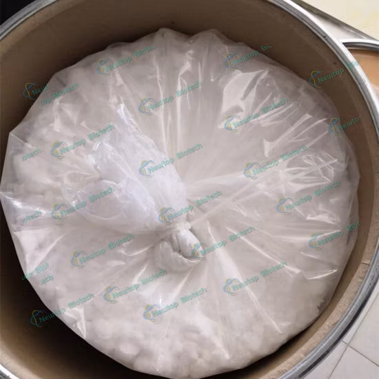 API Raw Materials Bromhexine Hydrochloride / Bromhexine HCl CAS 611-75-6